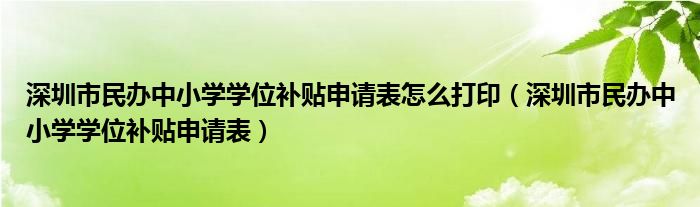 深圳市民办中小学学位补贴申请表怎么打印（深圳市民办中小学学位补贴申请表）