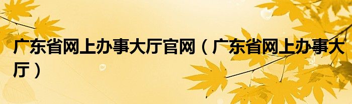 广东省网上办事大厅官网（广东省网上办事大厅）