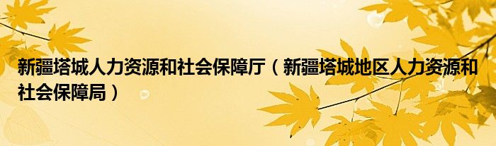 新疆塔城人力资源和社会保障厅（新疆塔城地区人力资源和社会保障局）