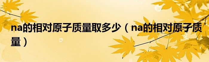 na的相对原子质量取多少（na的相对原子质量）