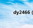 dy2466（dy245怎么打不开了）