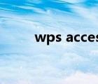 wps access数据库（wps数据库）