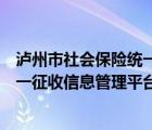 泸州市社会保险统一征收信息管理系统（泸州市社会保险统一征收信息管理平台）