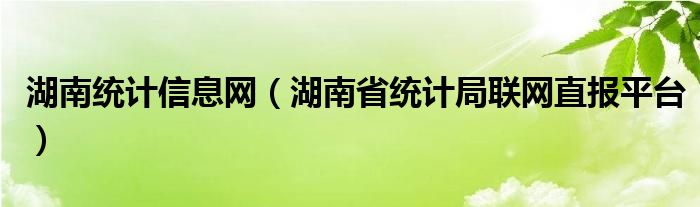 湖南统计信息网（湖南省统计局联网直报平台）