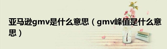 亚马逊gmv是什么意思（gmv峰值是什么意思）