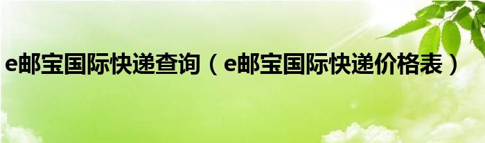 e邮宝国际快递查询（e邮宝国际快递价格表）