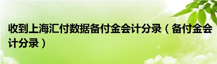 收到上海汇付数据备付金会计分录（备付金会计分录）