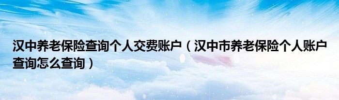 汉中养老保险查询个人交费账户（汉中市养老保险个人账户查询怎么查询）