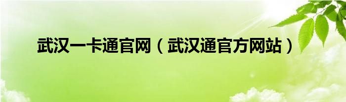 武汉一卡通官网（武汉通官方网站）