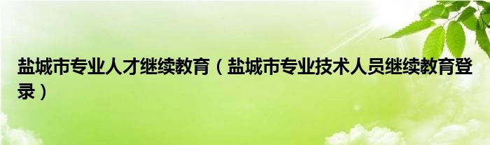 盐城市专业人才继续教育（盐城市专业技术人员继续教育登录）