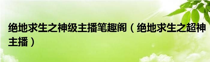 绝地求生之神级主播笔趣阁（绝地求生之超神主播）