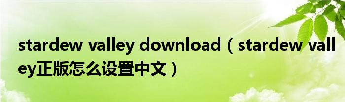 stardew valley download（stardew valley正版怎么设置中文）