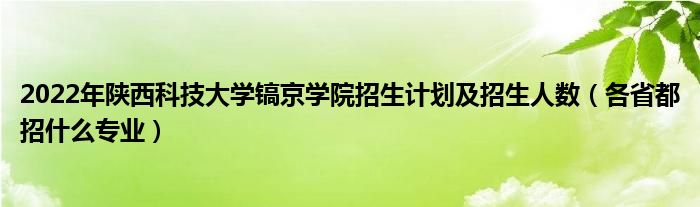 2022年陕西科技大学镐京学院招生计划及招生人数（各省都招什么专业）