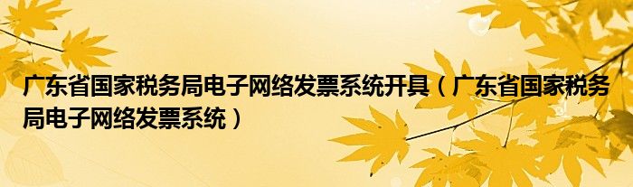 广东省国家税务局电子网络发票系统开具（广东省国家税务局电子网络发票系统）