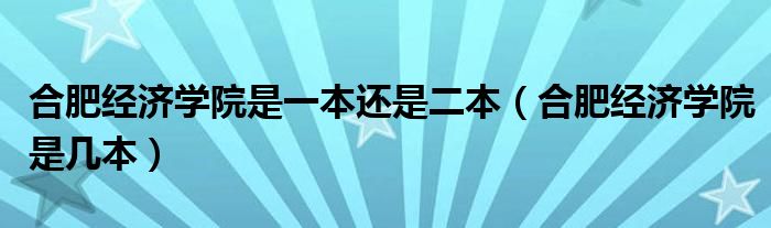 合肥经济学院是一本还是二本（合肥经济学院是几本）