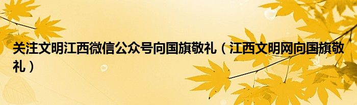 关注文明江西微信公众号向国旗敬礼（江西文明网向国旗敬礼）