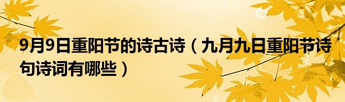 9月9日重阳节的诗古诗（九月九日重阳节诗句诗词有哪些）