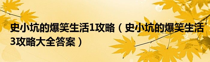 史小坑的爆笑生活1攻略（史小坑的爆笑生活3攻略大全答案）