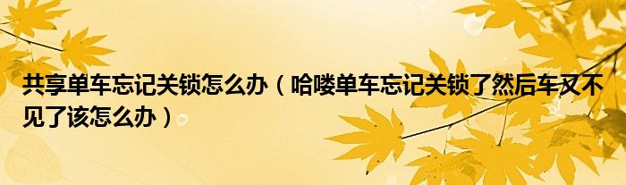 共享单车忘记关锁怎么办（哈喽单车忘记关锁了然后车又不见了该怎么办）