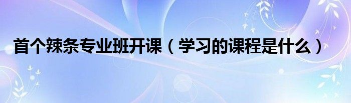 首个辣条专业班开课（学习的课程是什么）