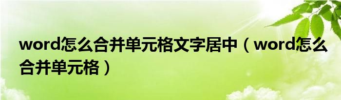 word怎么合并单元格文字居中（word怎么合并单元格）