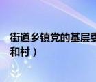 街道乡镇党的基层委员会和社区（街道乡镇党的基层委员会和村）