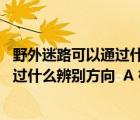 野外迷路可以通过什么来辨别方向（野外迷路后 我们可以通过什么辨别方向  A 根据树木的年轮）