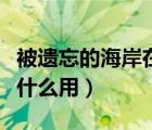 被遗忘的海岸在哪里（被遗忘的小岛灵魂石有什么用）