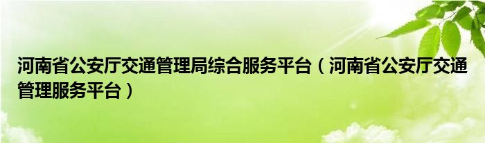 河南省公安厅交通管理局综合服务平台（河南省公安厅交通管理服务平台）