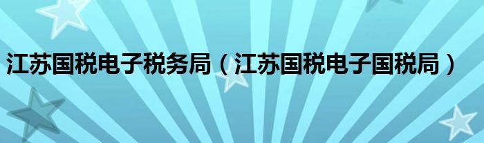 江苏国税电子税务局（江苏国税电子国税局）