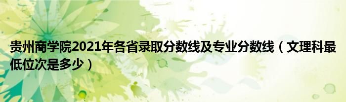 贵州商学院2021年各省录取分数线及专业分数线（文理科最低位次是多少）