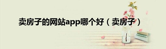 卖房子的网站app哪个好（卖房子）