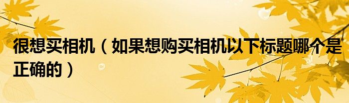 很想买相机（如果想购买相机以下标题哪个是正确的）