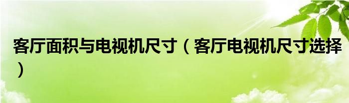 客厅面积与电视机尺寸（客厅电视机尺寸选择）