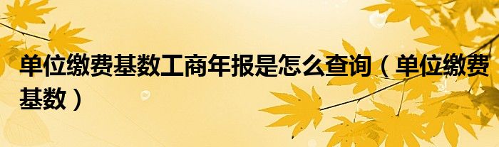 单位缴费基数工商年报是怎么查询（单位缴费基数）