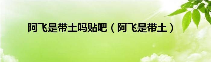 阿飞是带土吗贴吧（阿飞是带土）