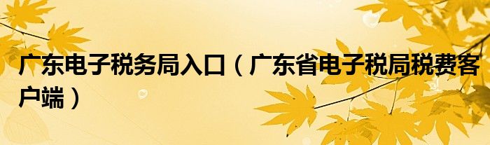 广东电子税务局入口（广东省电子税局税费客户端）