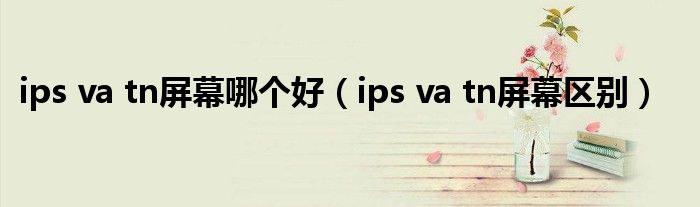 ips va tn屏幕哪个好（ips va tn屏幕区别）