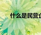 什么是民营企业家（什么是民营企业）