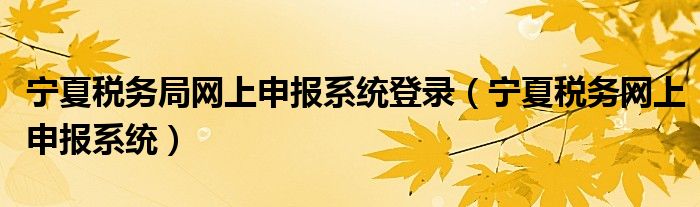 宁夏税务局网上申报系统登录（宁夏税务网上申报系统）