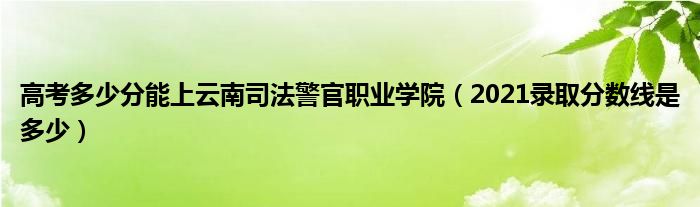 高考多少分能上云南司法警官职业学院（2021录取分数线是多少）