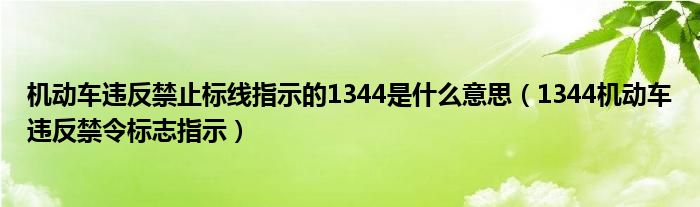 机动车违反禁止标线指示的1344是什么意思（1344机动车违反禁令标志指示）