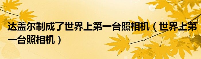 达盖尔制成了世界上第一台照相机（世界上第一台照相机）