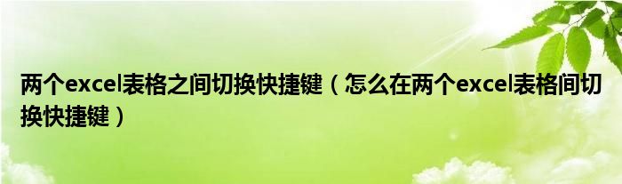 两个excel表格之间切换快捷键（怎么在两个excel表格间切换快捷键）