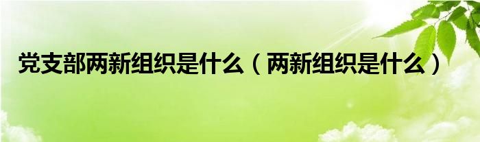 党支部两新组织是什么（两新组织是什么）