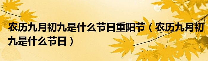 农历九月初九是什么节日重阳节（农历九月初九是什么节日）