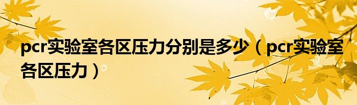 pcr实验室各区压力分别是多少（pcr实验室各区压力）