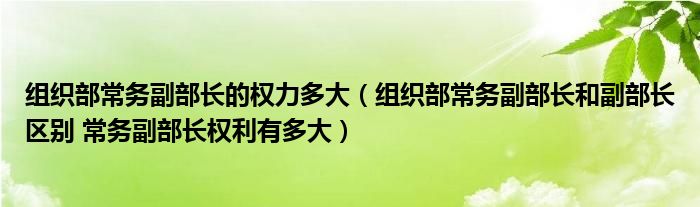 组织部常务副部长的权力多大（组织部常务副部长和副部长区别 常务副部长权利有多大）