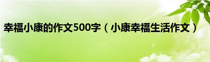 幸福小康的作文500字（小康幸福生活作文）