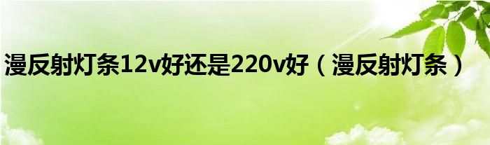 漫反射灯条12v好还是220v好（漫反射灯条）